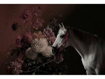 HORSES - Digital printing wallpaper by Architects Paper - view 2